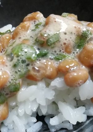 【ご飯のお供】青しそ納豆-レシピのメイン写真