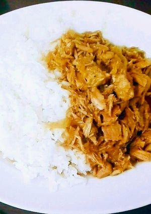 豚ロースのほうじ茶カレー-レシピのメイン写真