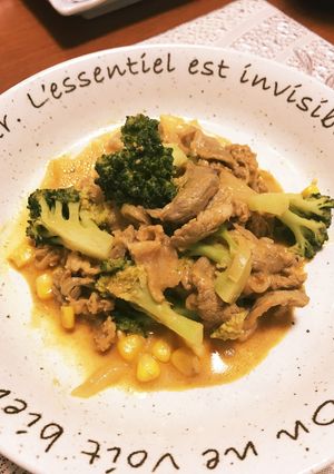 タンドリーポークのチーズ入りカレー炒め-レシピのメイン写真