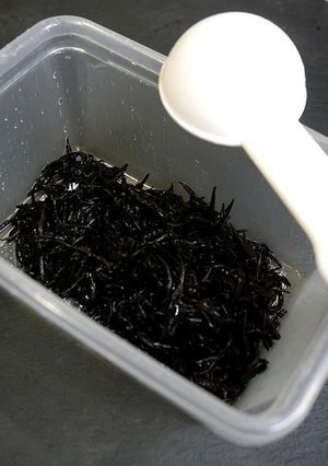 レンジで簡単！ひじきの下処理-レシピのメイン写真