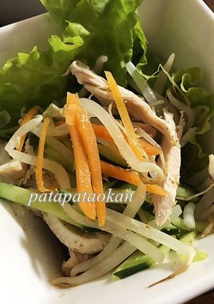 レンジで♪ムネ肉とモヤシの中華風サラダ-レシピのメイン写真