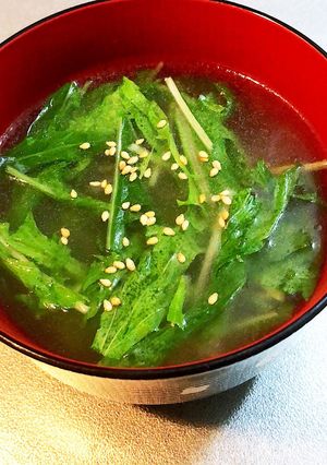 簡単!ダシダを使ったさっぱり水菜スープ-レシピのメイン写真