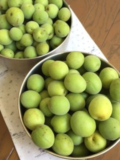 梅ジュース 2018 簡単すぐできる!-レシピのメイン写真