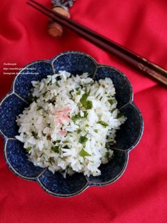みょうがわかめご飯-レシピのメイン写真