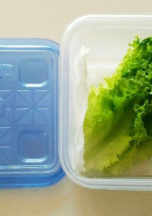 リーフレタス活用-レシピのメイン写真