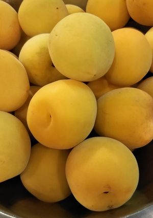 梅干し-レシピのメイン写真