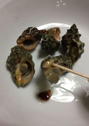 タバコニシの塩ゆで-レシピのメイン写真