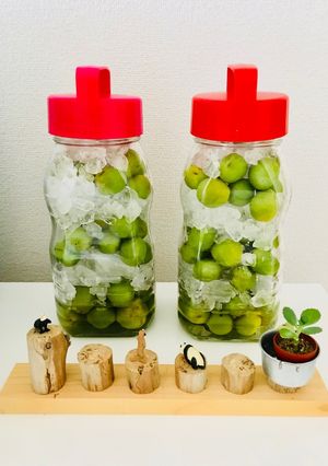 【夏にオススメ】簡単 梅シロップ-レシピのメイン写真
