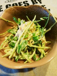 あと一品⭐豆苗サラダ♡-レシピのメイン写真