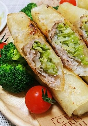 キャベツたっぷりサクサク春巻き☆梅肉添え-レシピのメイン写真