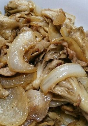 豚肉と玉ねぎの炒め物-レシピのメイン写真