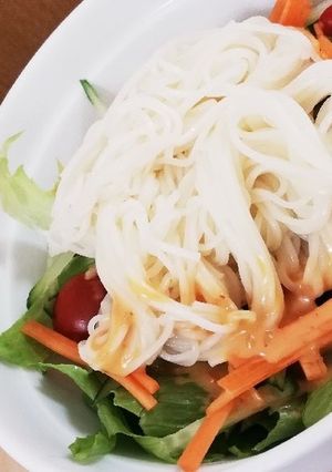 お野菜と素麺で簡単ベジボウル-レシピのメイン写真