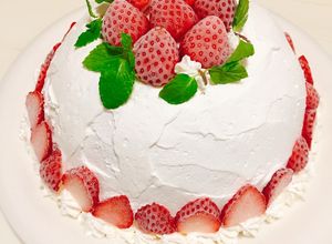 ２層のアイスケーキ♡市販アイスで簡単♪-レシピのメイン写真