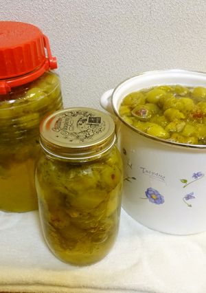 梅ジュース・煮る・時短・カビなしシロップ-レシピのメイン写真