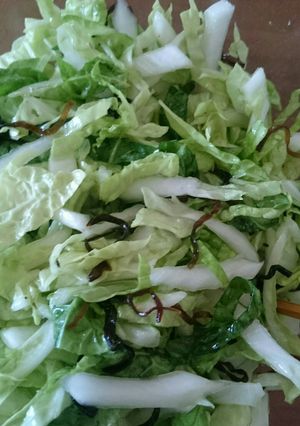 ヤミツキ白菜サラダ-レシピのメイン写真
