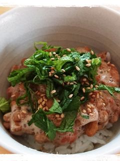 一人ご飯☆納豆の梅しそ丼-レシピのメイン写真
