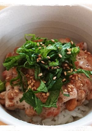一人ご飯☆納豆の梅しそ丼-レシピのメイン写真