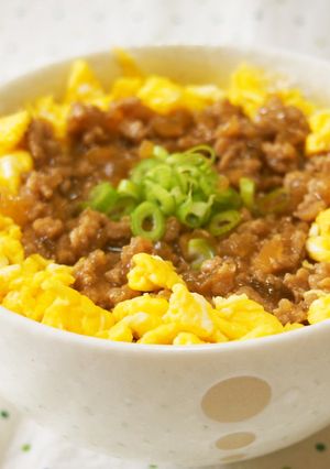 生姜たっぷり！トロトロそぼろ丼♪-レシピのメイン写真