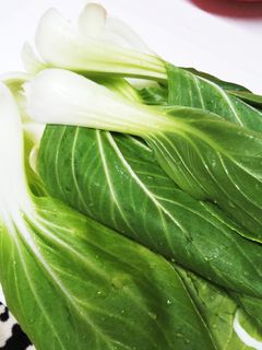 邪道?!チンゲン菜の洗い方-レシピのメイン写真
