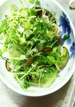 豚肉と夏野菜のさわやかサラダ-レシピのメイン写真