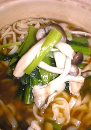 キノコと小松菜の“艶うどん”-レシピのメイン写真