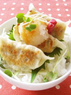 餃子丼-レシピのメイン写真
