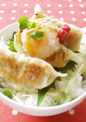 餃子丼-レシピのメイン写真