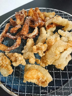 ワニ肉のから揚げ-レシピのメイン写真