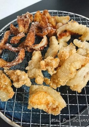 ワニ肉のから揚げ-レシピのメイン写真