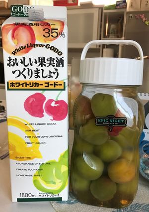 早く飲める冷凍梅のはちみつ梅酒-レシピのメイン写真