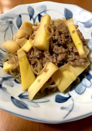 破竹とひき肉、糸こんにゃくの炒め煮-レシピのメイン写真