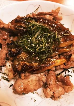 ふっくら香ばしい！豚肉となすの蒲焼丼☆-レシピのメイン写真