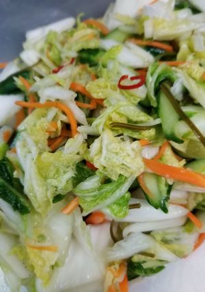 リーの即席朝鮮漬-レシピのメイン写真