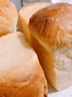 ふわふわパン生地-レシピのメイン写真