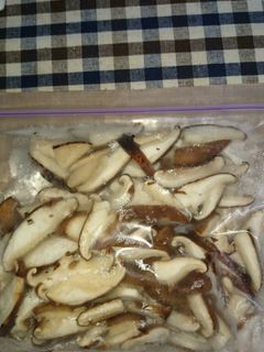 生椎茸の冷凍保存-レシピのメイン写真