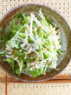 水菜としらすのサラダ-レシピのメイン写真