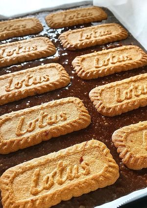 お洒落ブラウニー！ロータスブラウニー-レシピのメイン写真
