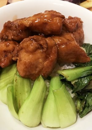青春の栄福飯（未完成）-レシピのメイン写真