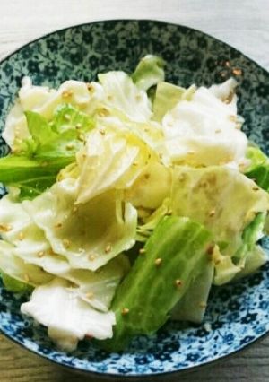 塩キャベツのおつまみ-レシピのメイン写真