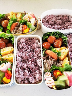 女子高生、男子学生、会社員の私弁当⑰-レシピのメイン写真