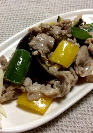 ナスとピーマンの中華炒め-レシピのメイン写真