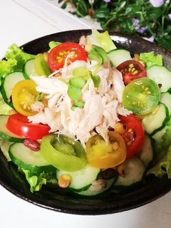 フレッシュな夏野菜&茹で鶏のサラダ-レシピのメイン写真