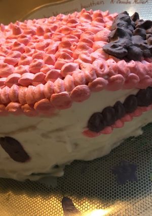 新幹線♡スーパーこまち 立体ケーキ-レシピのメイン写真