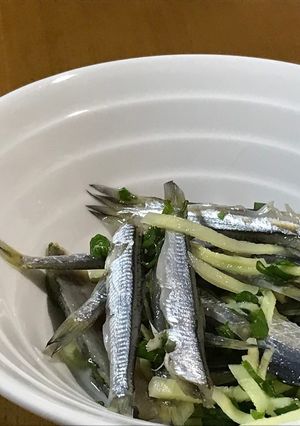 カタクチイワシの一夜干し酢漬け♪-レシピのメイン写真