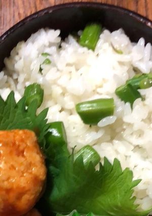 アスパラご飯-レシピのメイン写真