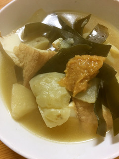 ハヤトウリと厚揚げの煮物-レシピのメイン写真
