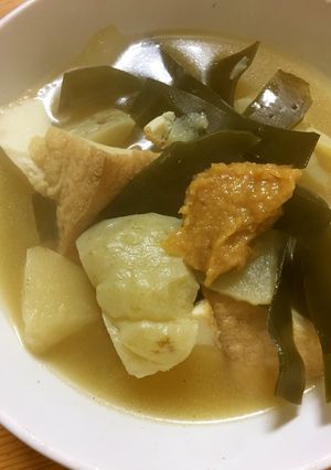 ハヤトウリと厚揚げの煮物-レシピのメイン写真