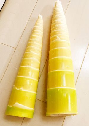 超簡単!はちく(淡竹・破竹)の下処理-レシピのメイン写真