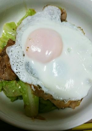豚肉とキャベツの味噌炒め-レシピのメイン写真