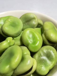 そら豆の塩ゆで-レシピのメイン写真
